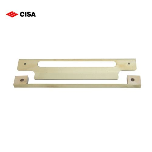 521-SS CISA REBATE KIT